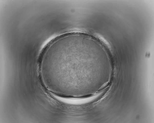 X0000094231310200711021153