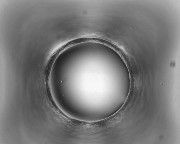 X0000094231311200711021153