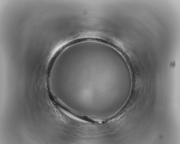 X0000094231312200711021153