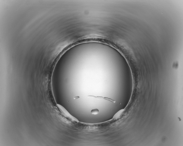 X0000094231313200711021153