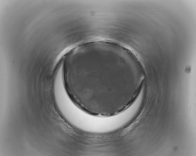 X0000094231314200711021153