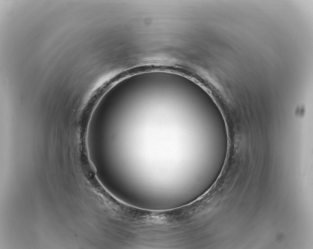 X0000094231315200711021153