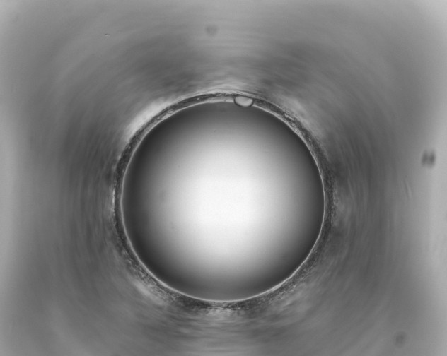 X0000094231316200711021153