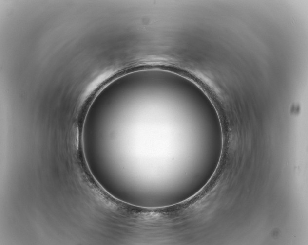 X0000094231317200711021153