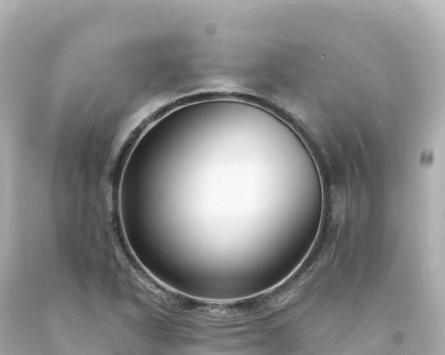 X0000094231318200711021153