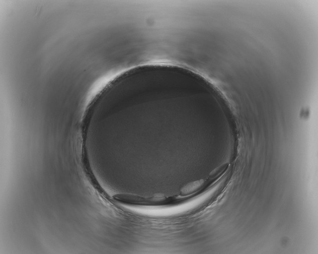 X0000094231319200711021153