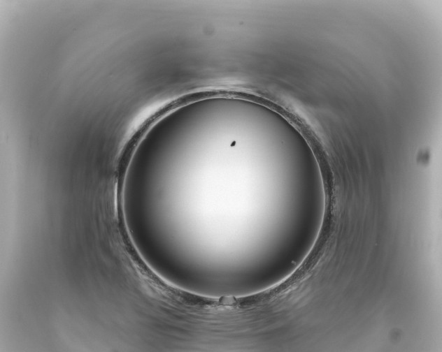 X0000094231320200711021153