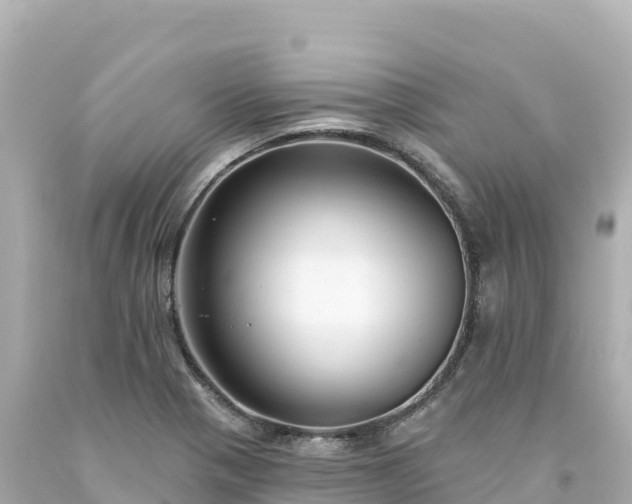 X0000094231321200711021153