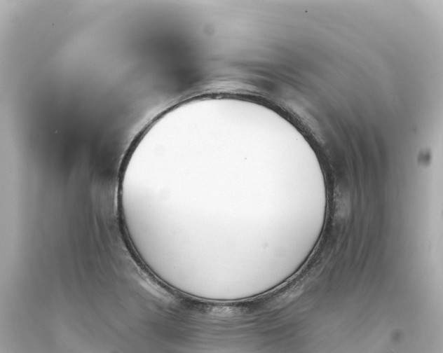 X0000094231322200711021153