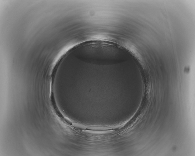 X0000094231323200711021153