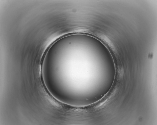 X0000094231324200711021153