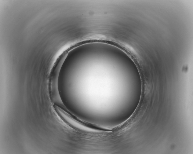 X0000094231326200711021153