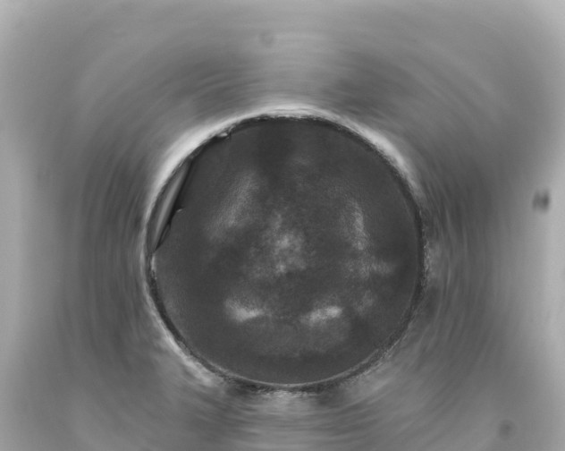 X0000094231327200711021153