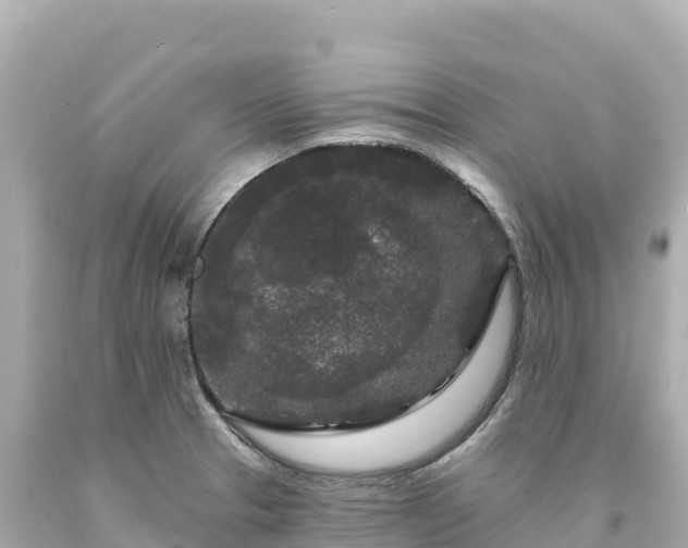 X0000094231329200711021153