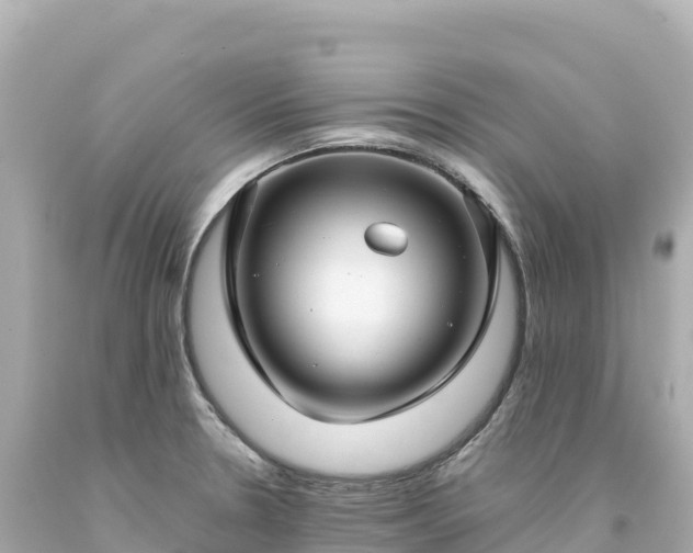 X0000094231330200711021154