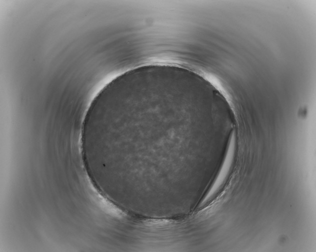 X0000094231331200711021154