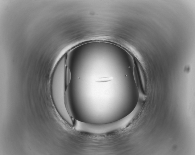 X0000094231332200711021154