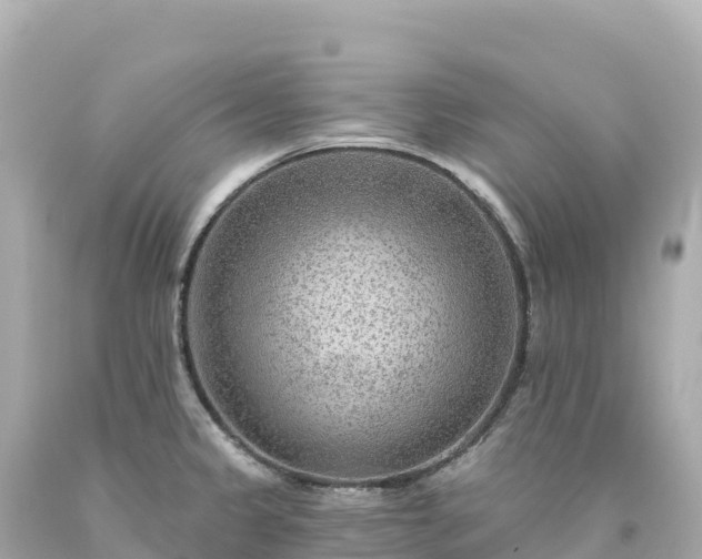 X0000094231333200711021154