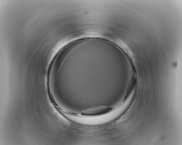 X0000094231334200711021154