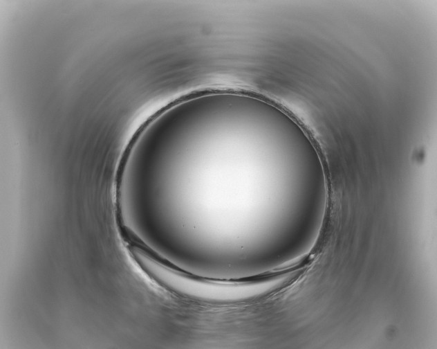 X0000094231335200711021154