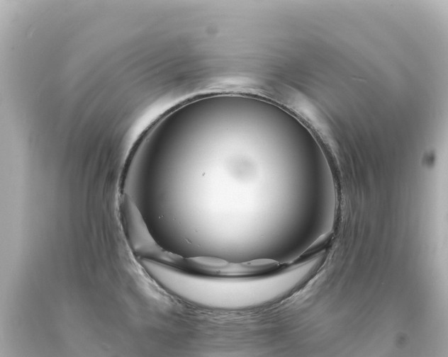 X0000094231336200711021154