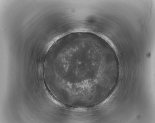 X0000094231337200711021154