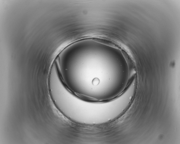 X0000094231338200711021154