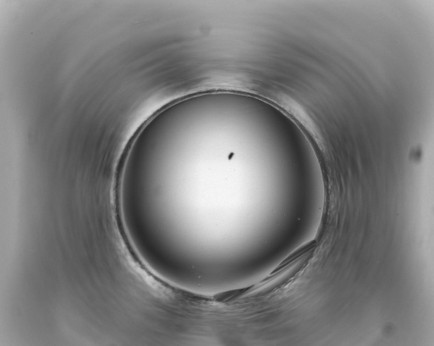 X0000094231339200711021154