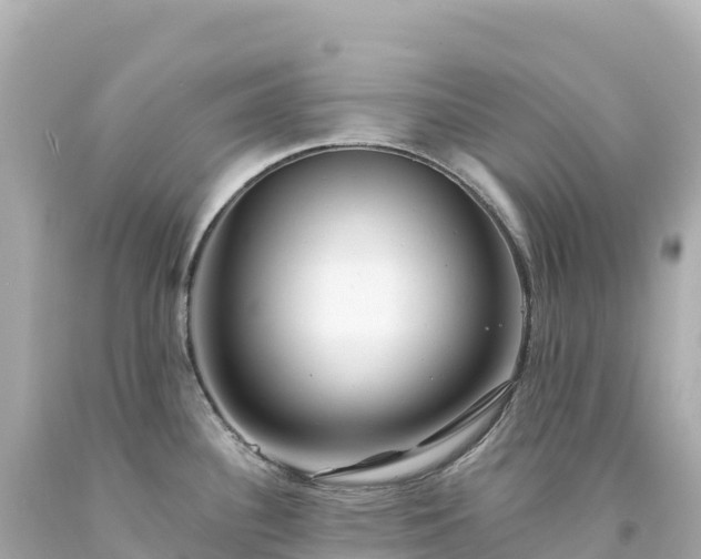 X0000094231340200711021154