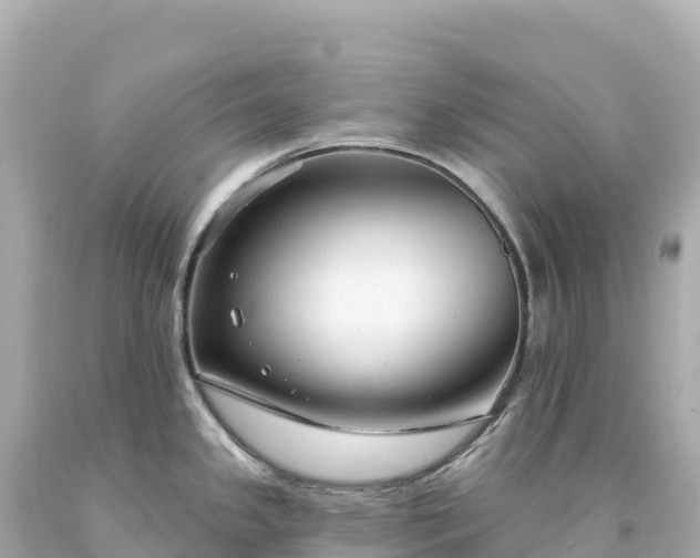 X0000094231341200711021154