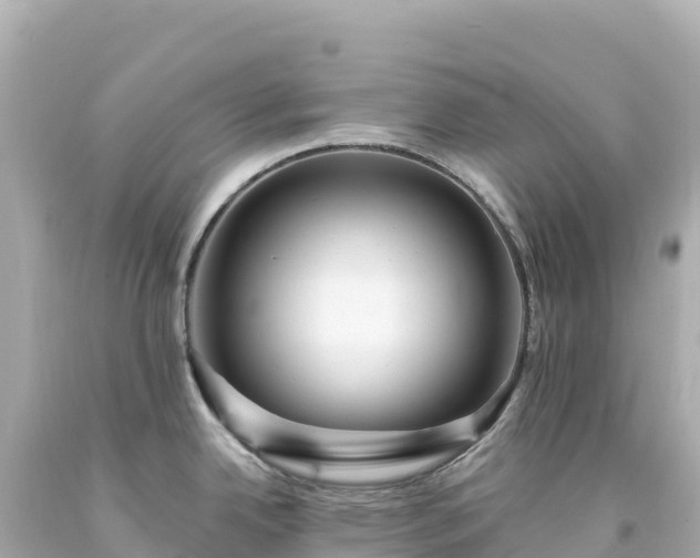 X0000094231342200711021154