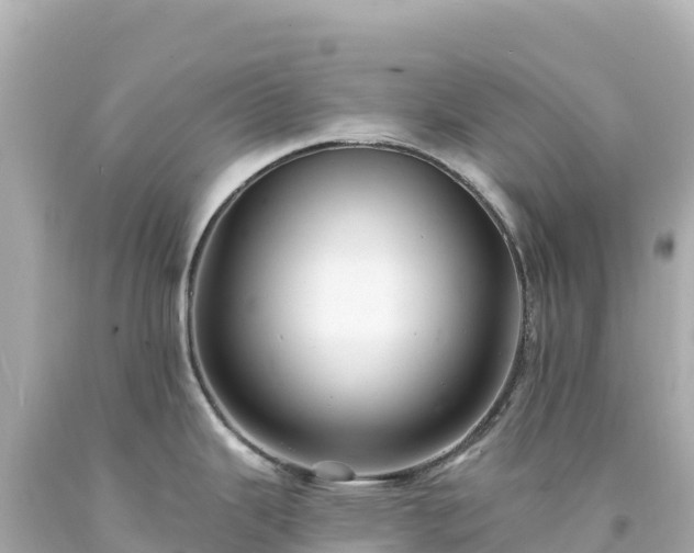 X0000094231343200711021154