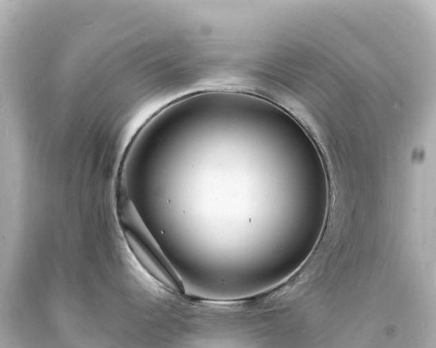 X0000094231344200711021154