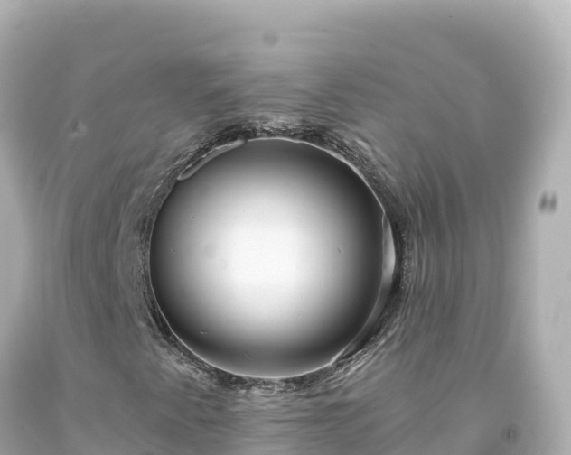 X0000094231345200711021153