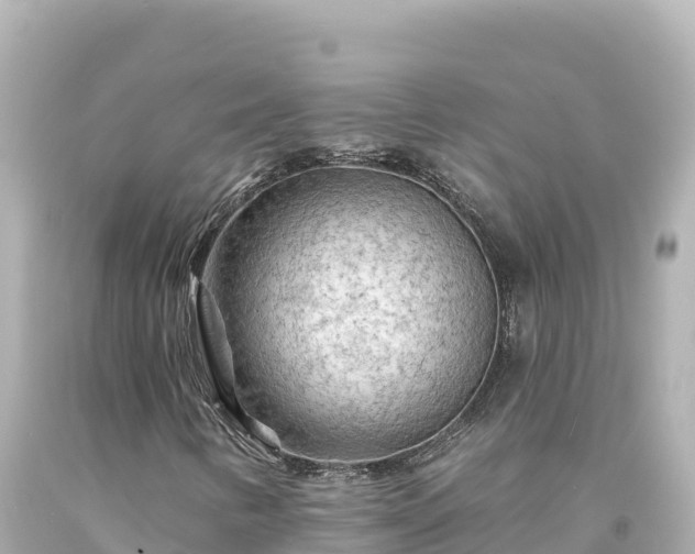 X0000094231346200711021153