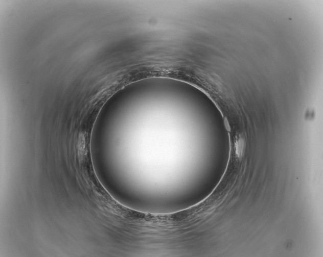 X0000094231347200711021153