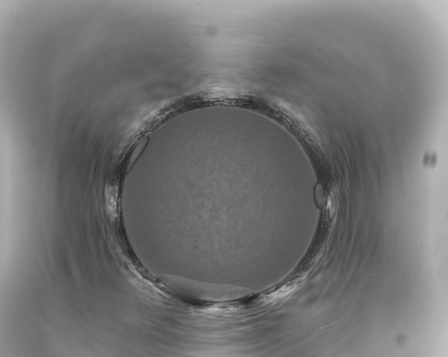 X0000094231348200711021153