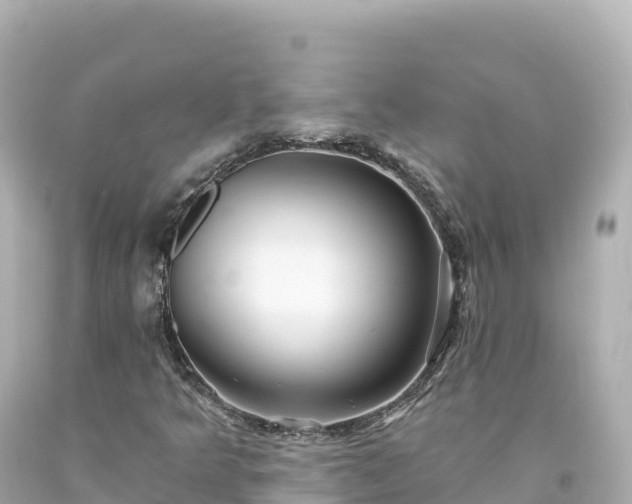 X0000094231349200711021153