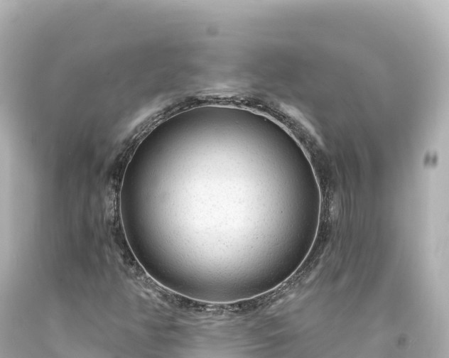 X0000094231350200711021153