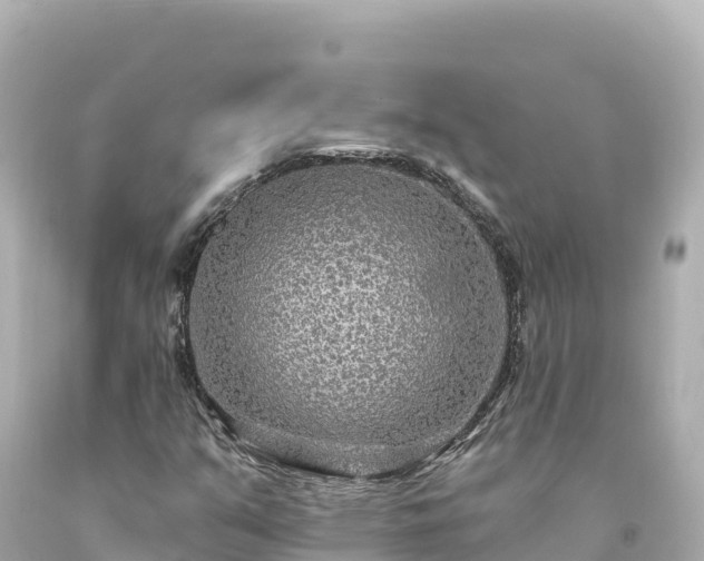 X0000094231351200711021153