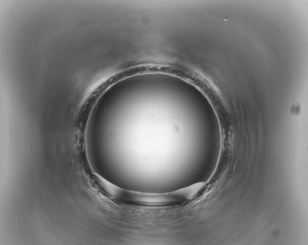 X0000094231352200711021153