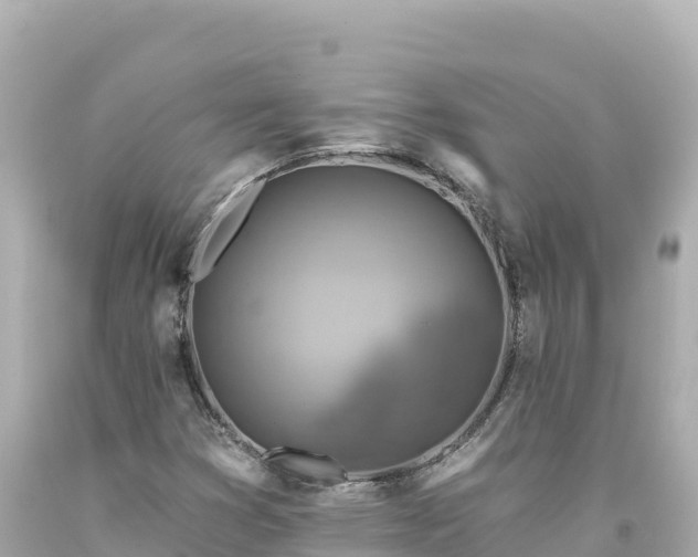 X0000094231353200711021153