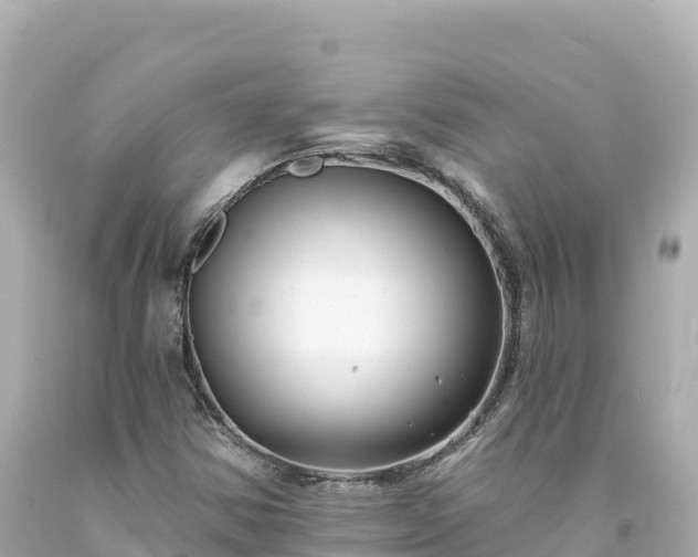 X0000094231354200711021153