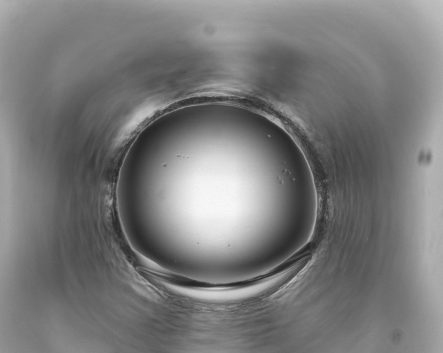 X0000094231355200711021153