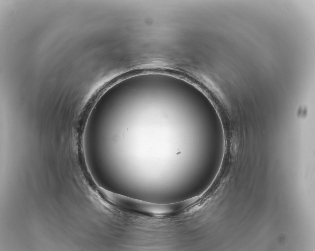 X0000094231356200711021153