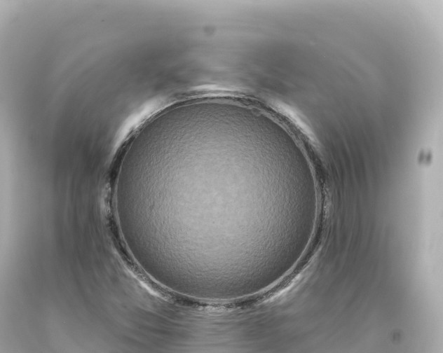 X0000094231357200711021153