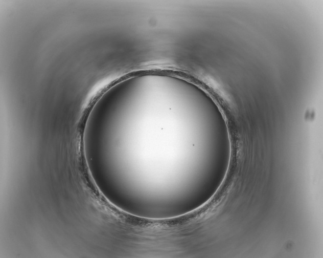 X0000094231358200711021153