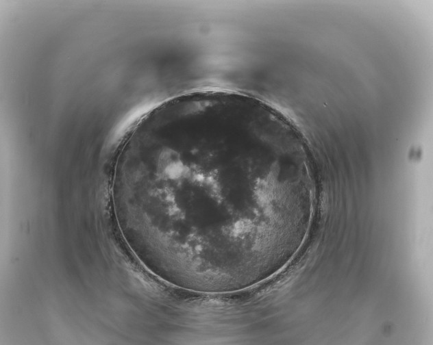 X0000094231359200711021153