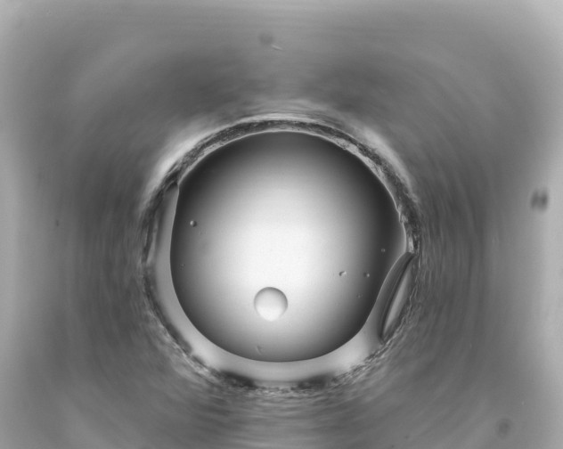 X0000094231360200711021153