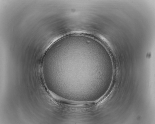 X0000094231361200711021153